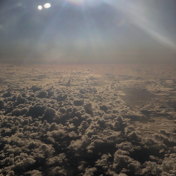 Meet your Posher, Kara - Picture 3 of 3